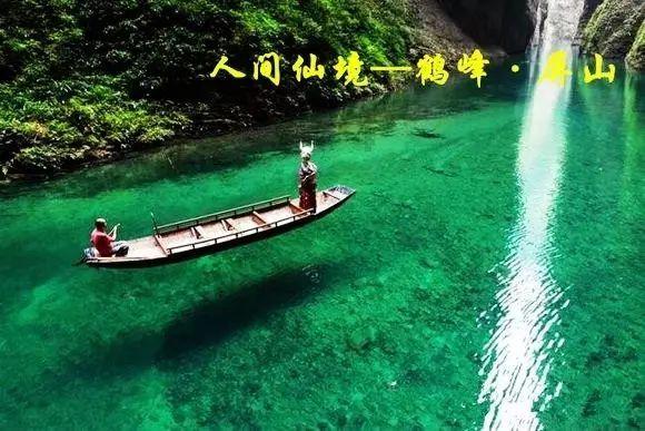 春雨直播app