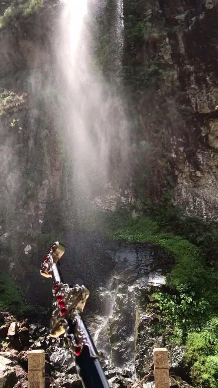 虫虫助手下载