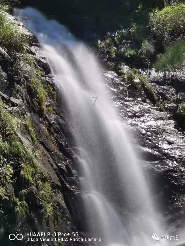 快要单招考试了,数学差到初中和高中的题一点儿都看不懂,现在还在补小学,因为是自学没有老师报不起班?-专业问答交流平台